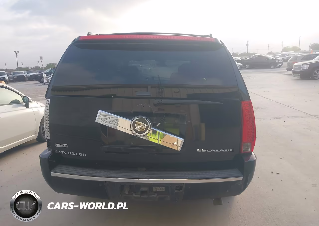 2010 Cadillac Escalade Luxury VIN:1GYUKBEF0AR122353 - 16