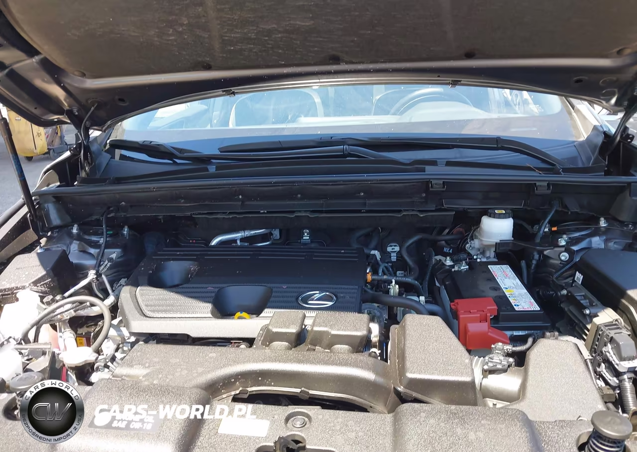 2024 Lexus Nx 250 VIN:JTJADCAZ0R5013769 - 10