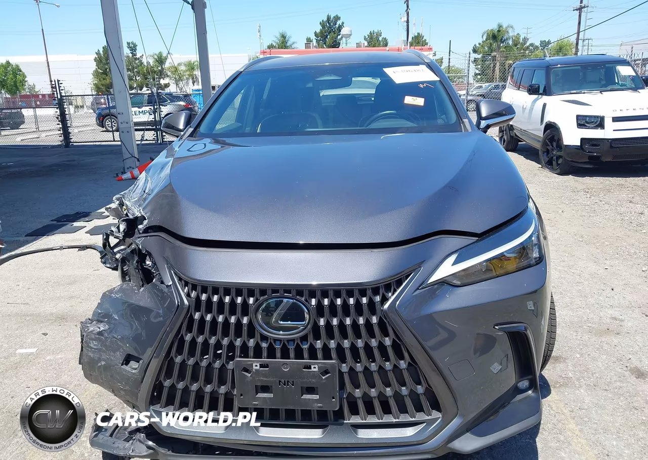2024 Lexus Nx 250 VIN:JTJADCAZ0R5013769 - 13