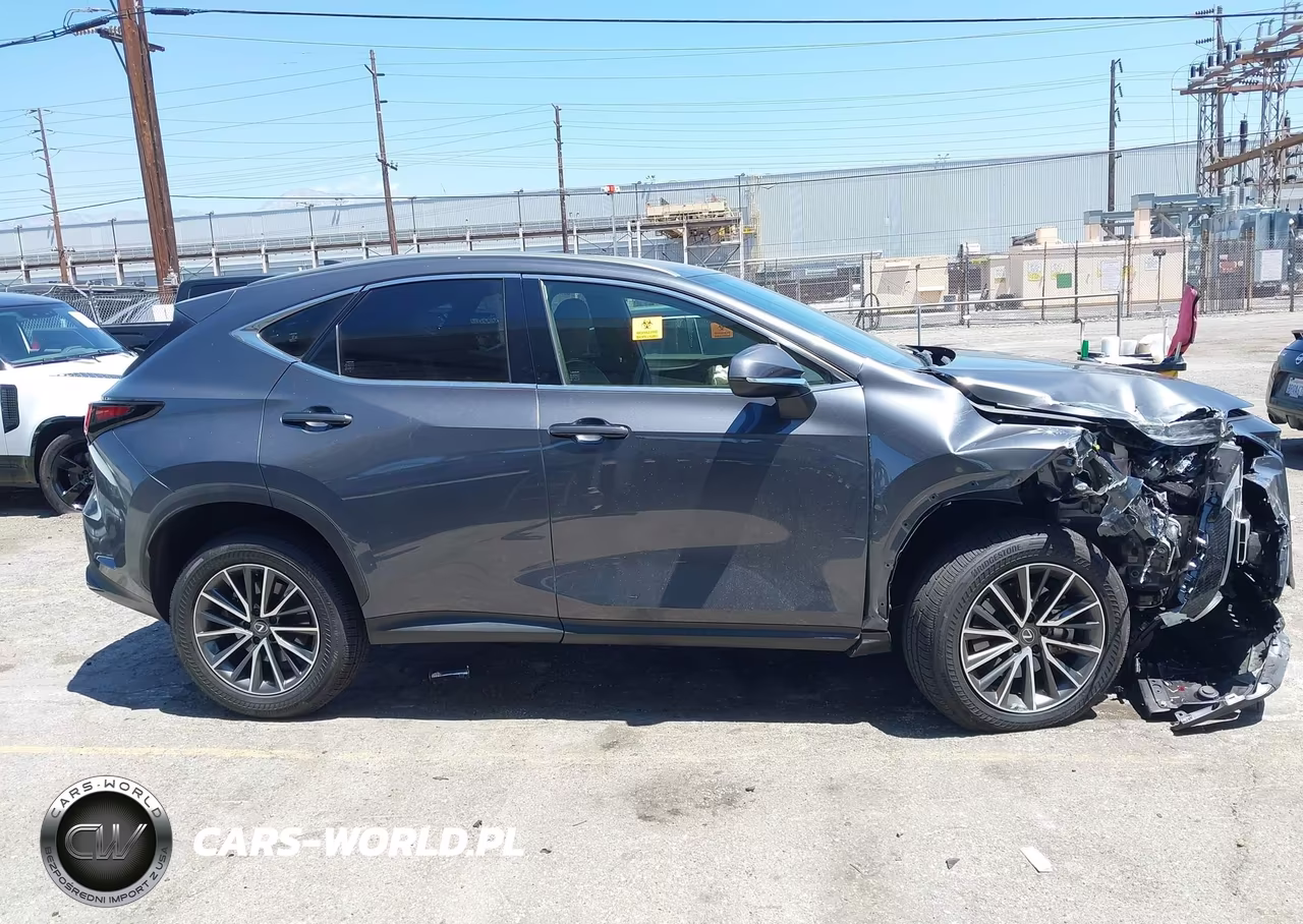 2024 Lexus Nx 250 VIN:JTJADCAZ0R5013769 - 14