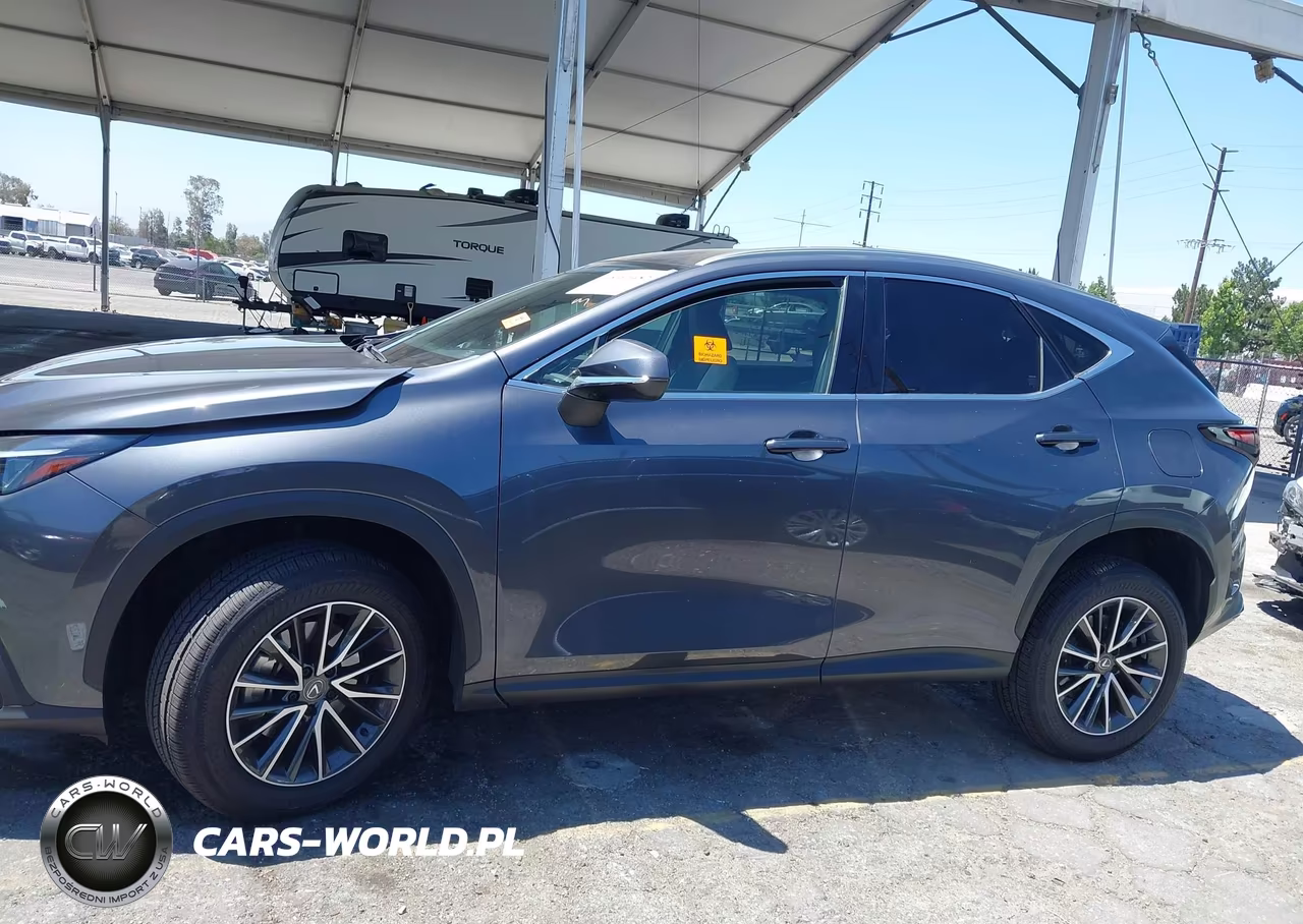 2024 Lexus Nx 250 VIN:JTJADCAZ0R5013769 - 15
