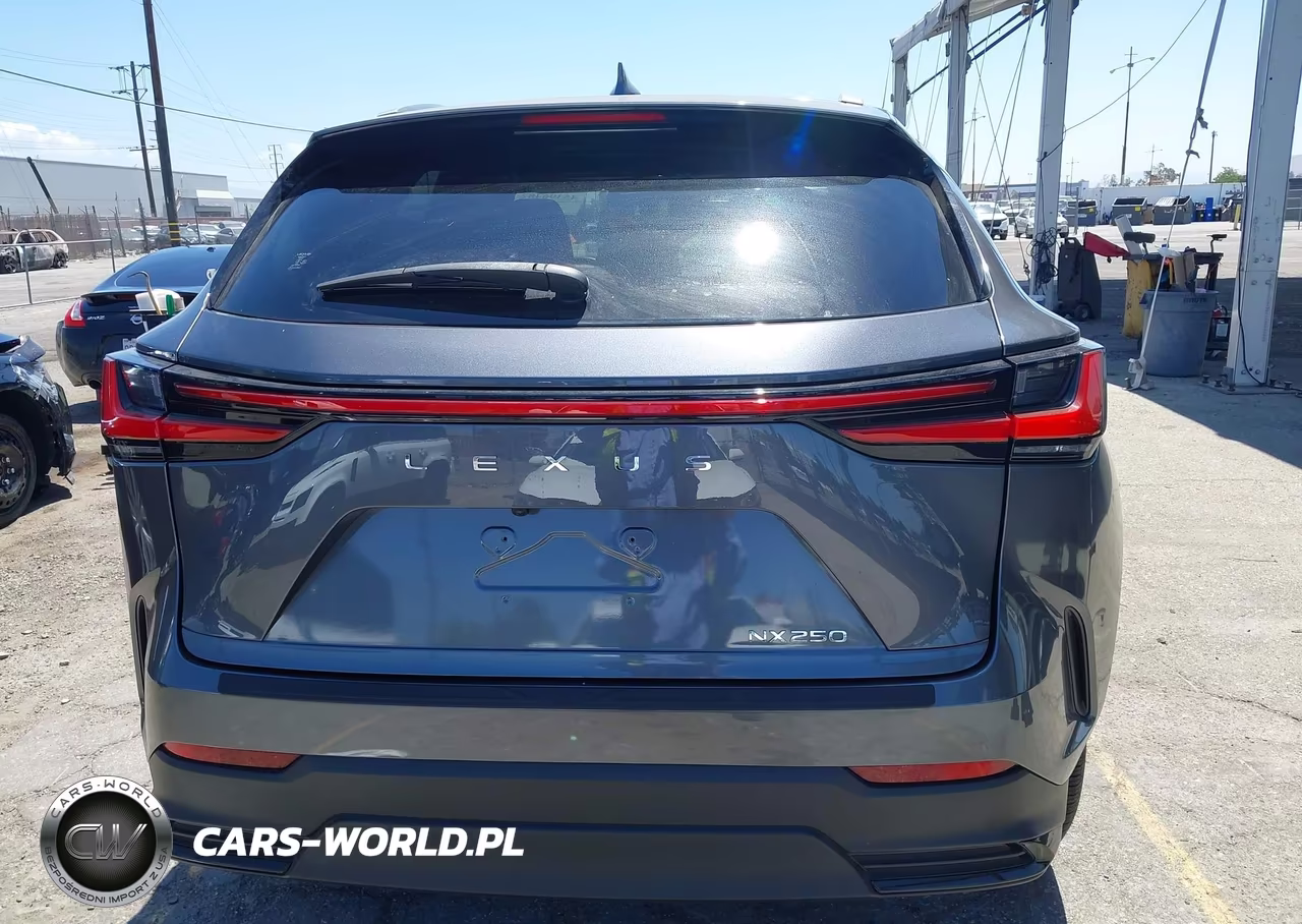 2024 Lexus Nx 250 VIN:JTJADCAZ0R5013769 - 17