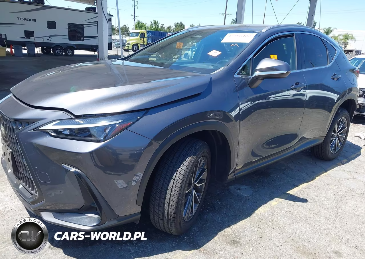 2024 Lexus Nx 250 VIN:JTJADCAZ0R5013769 - 2