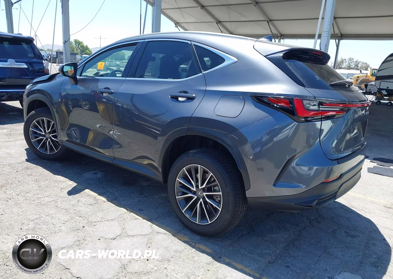 2024 Lexus Nx 250 VIN:JTJADCAZ0R5013769 - 3