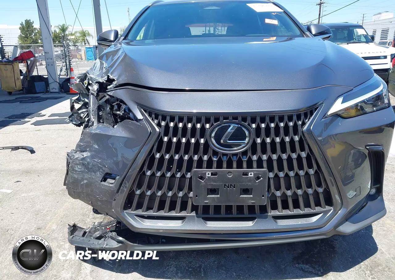 2024 Lexus Nx 250 VIN:JTJADCAZ0R5013769 - 6