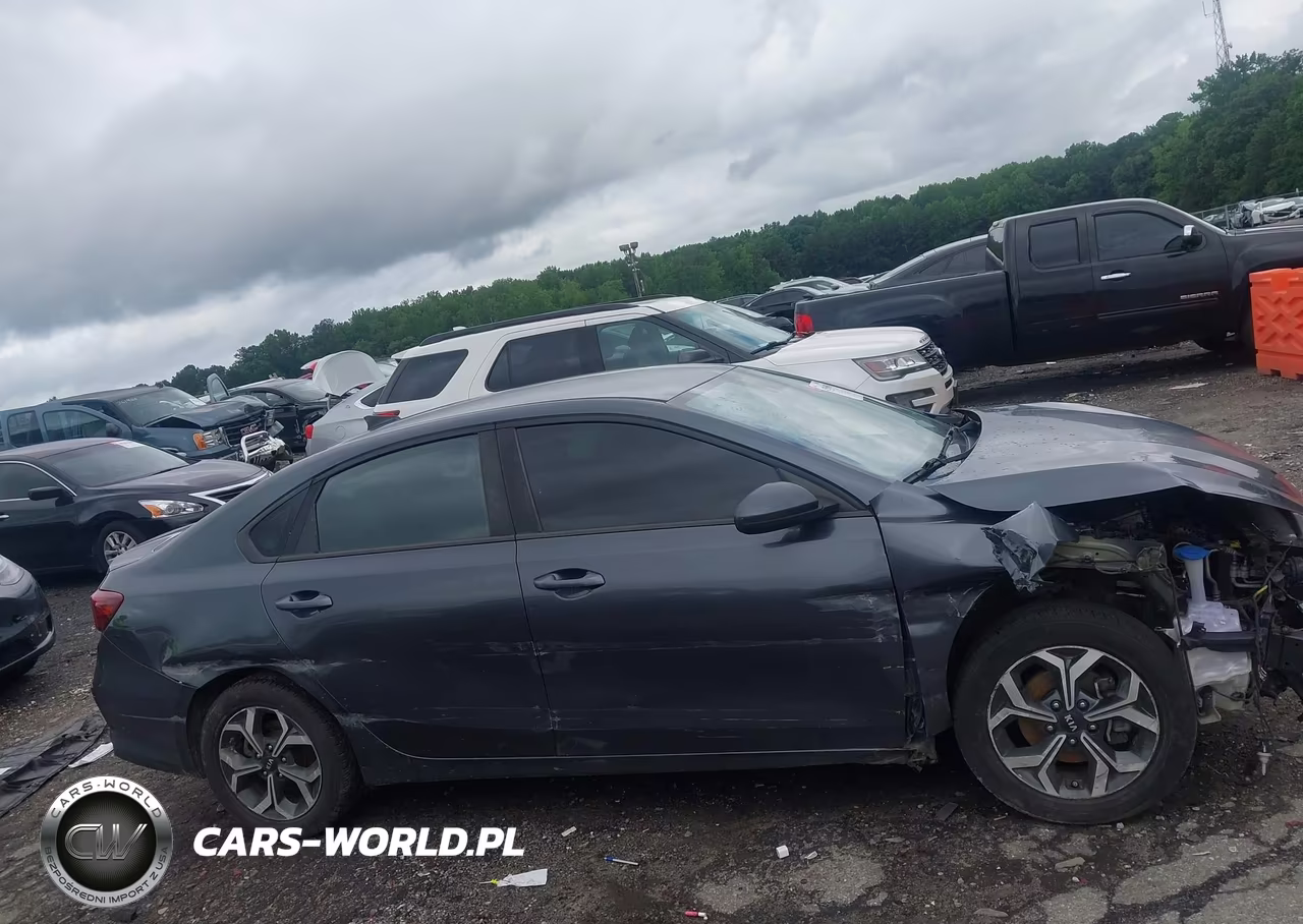 2019 Kia Forte Lxs VIN:3KPF24AD0KE041283 - 12