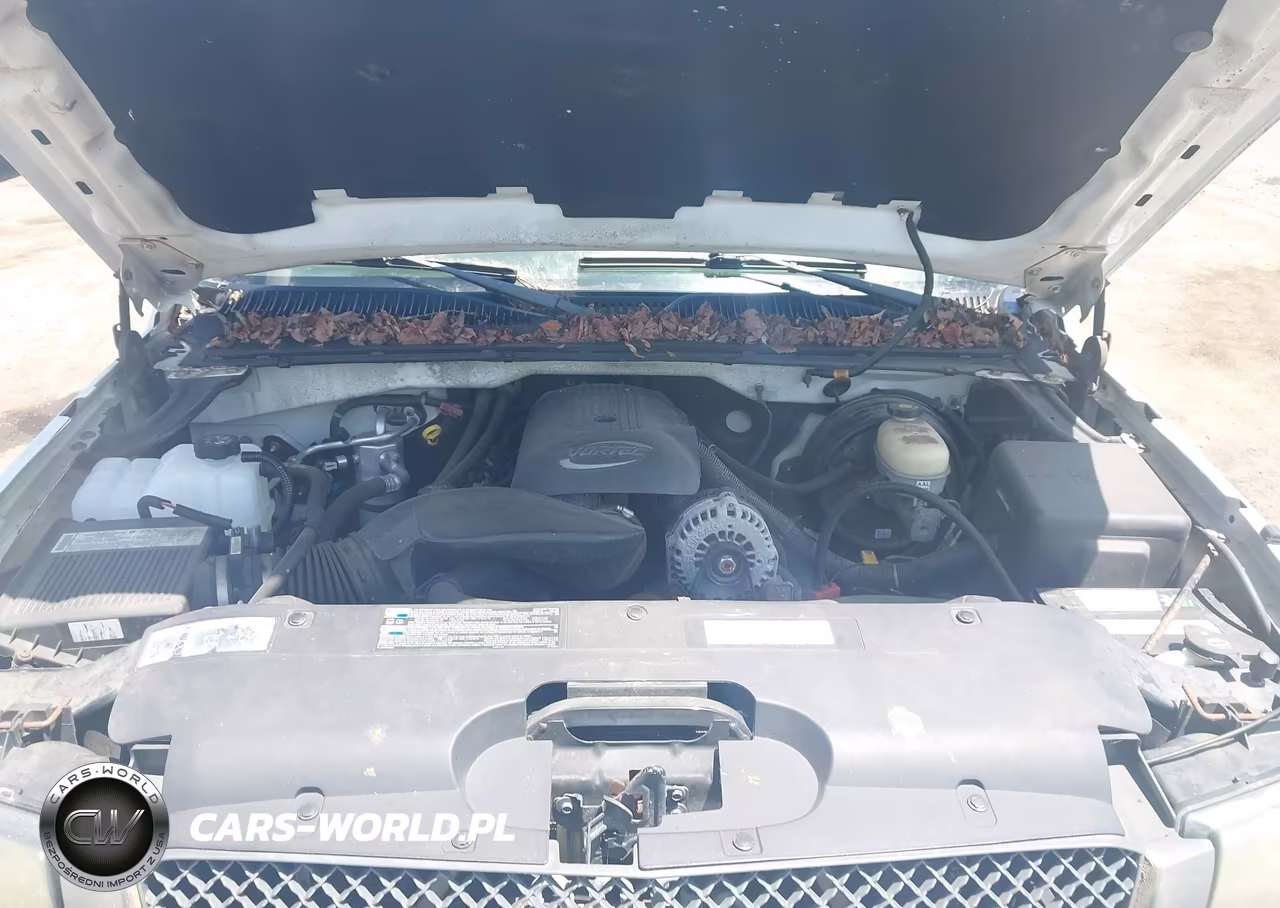 2005 Chevrolet Silverado 1500 Ls VIN:1GCEC19T25Z240024 - 10