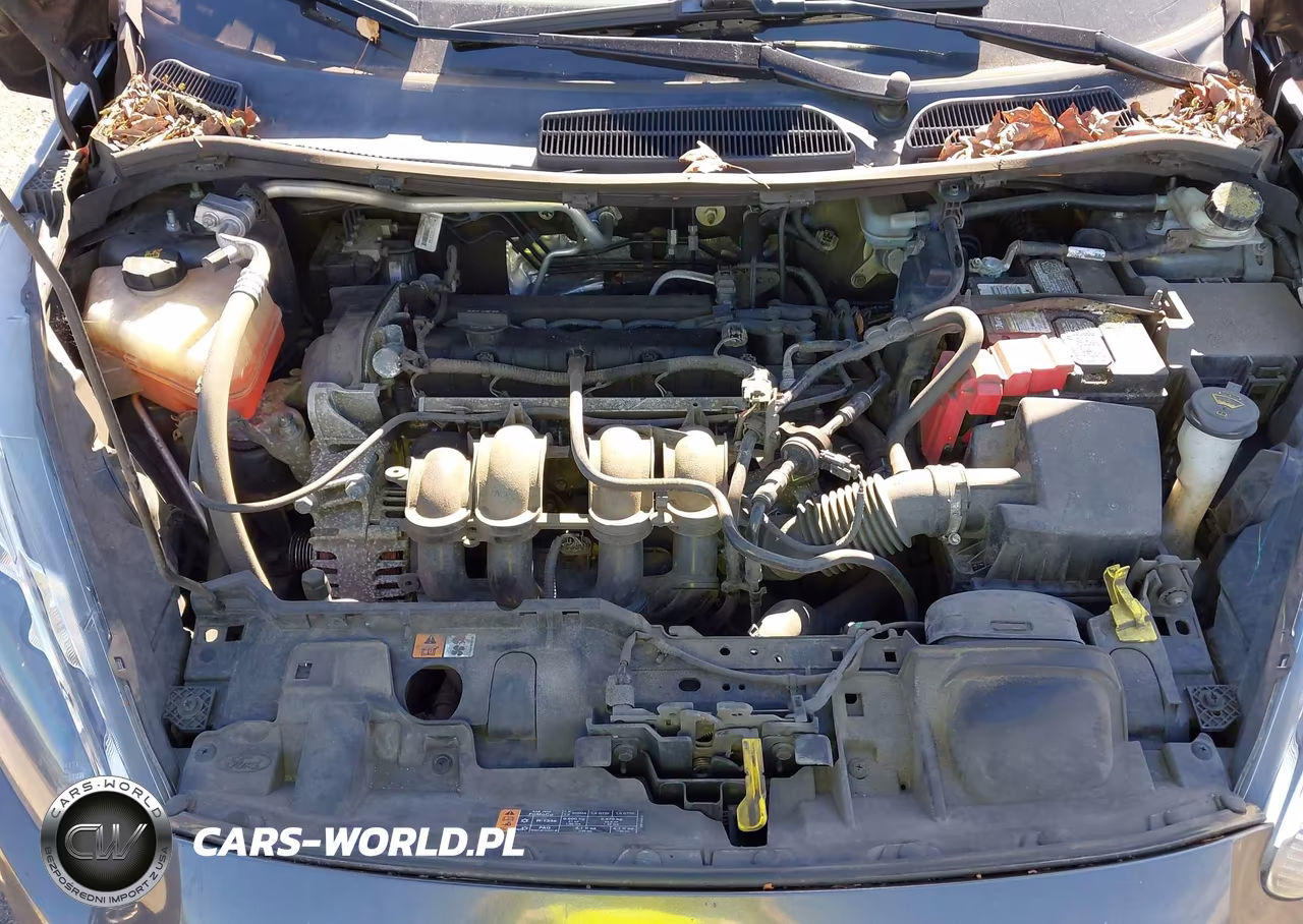 2015 Ford Fiesta Se VIN:3FADP4EJ9FM223848 - 10