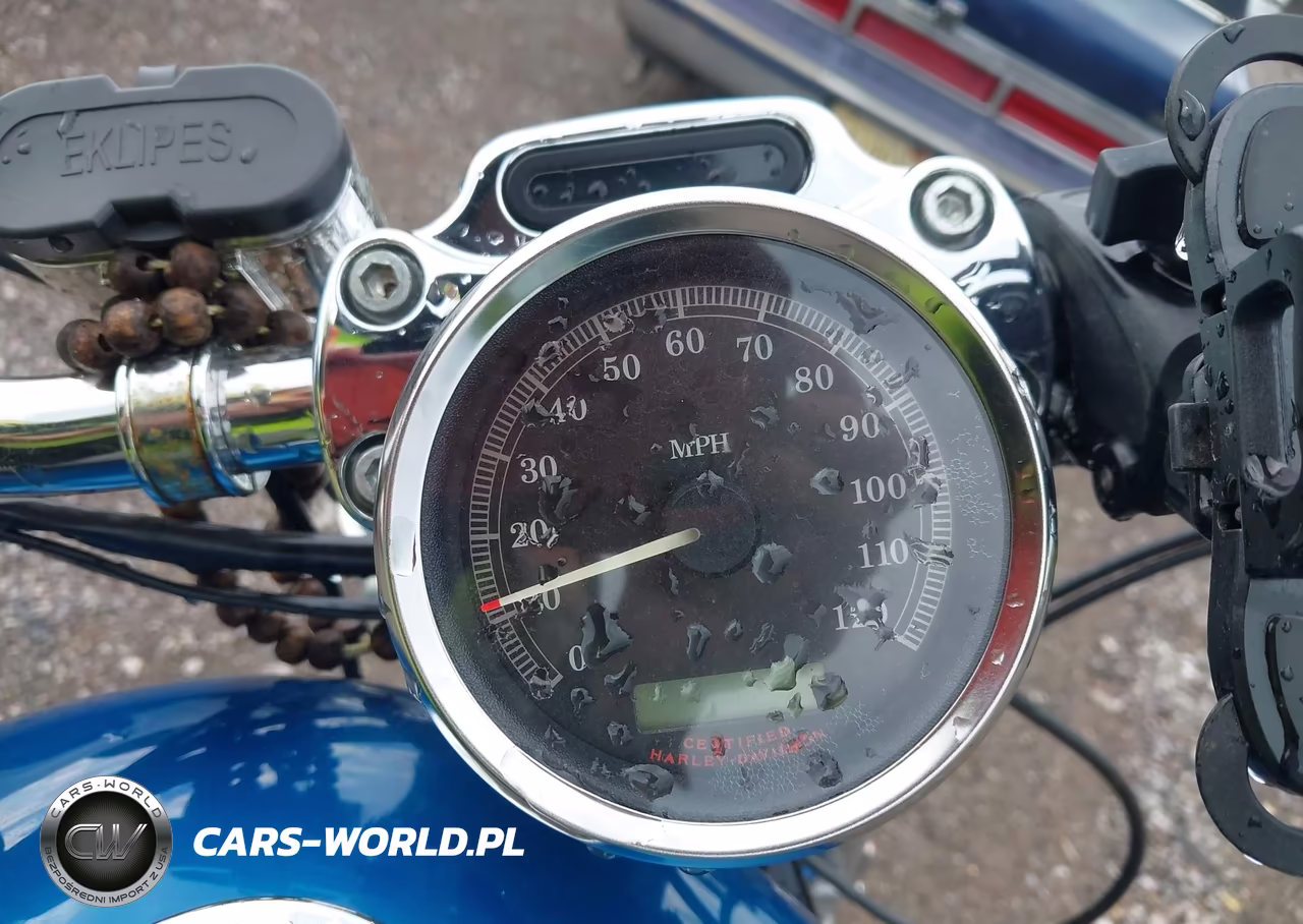 2006 Harley-Davidson Xl883 C VIN:1HD4CJM126K456966 - 7