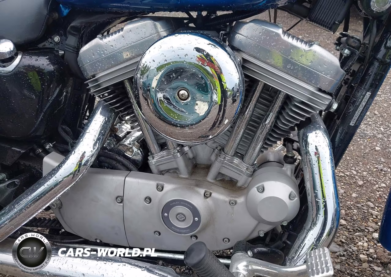 2006 Harley-Davidson Xl883 C VIN:1HD4CJM126K456966 - 8