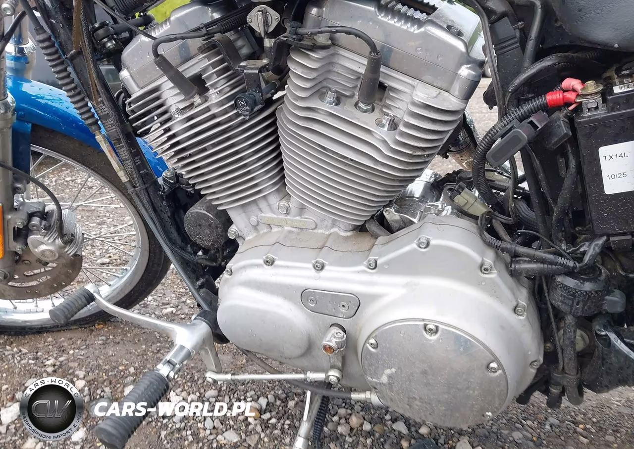 2006 Harley-Davidson Xl883 C VIN:1HD4CJM126K456966 - 9