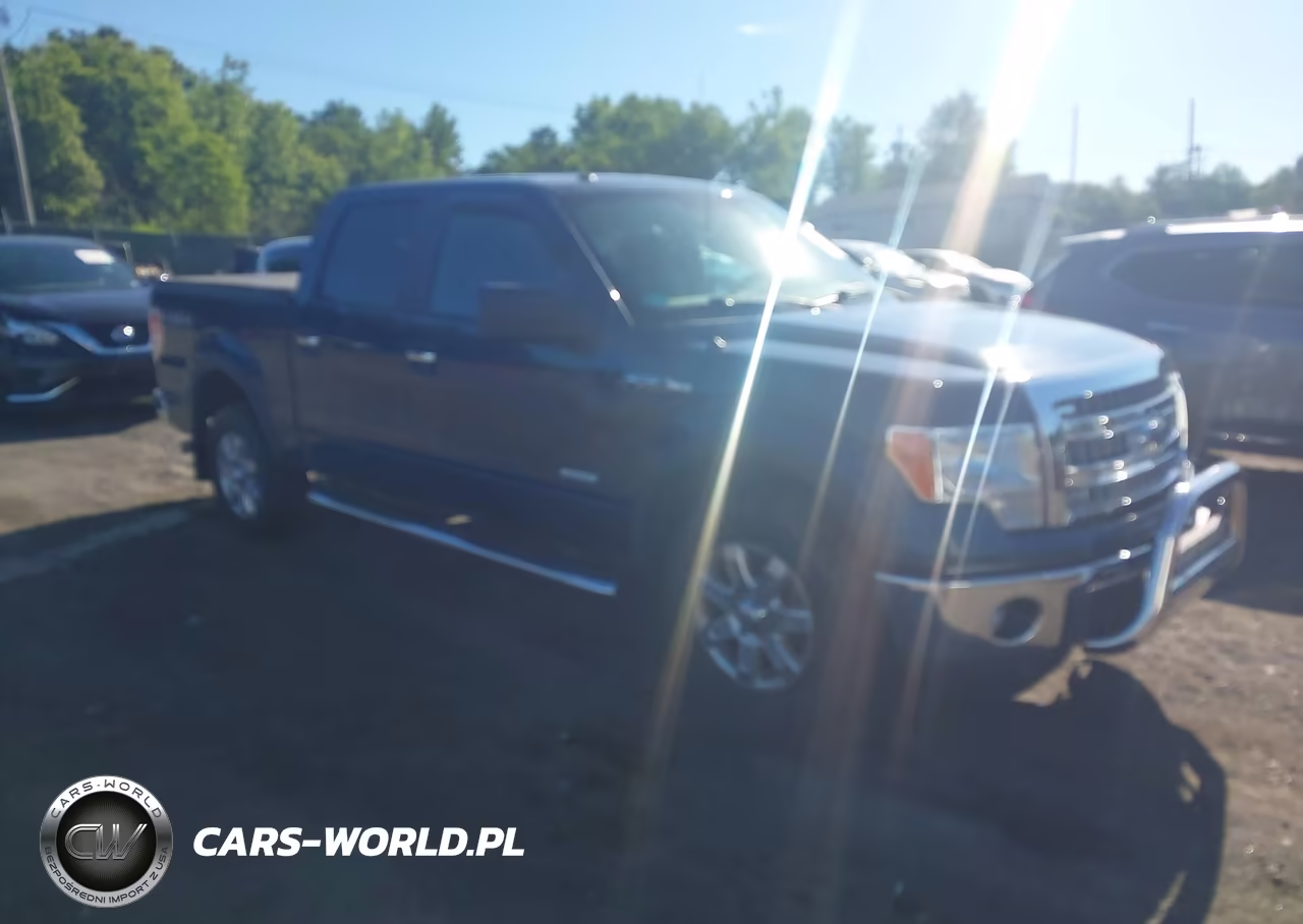 2013 Ford F-150 Xlt – zdjęcie 1 z 16