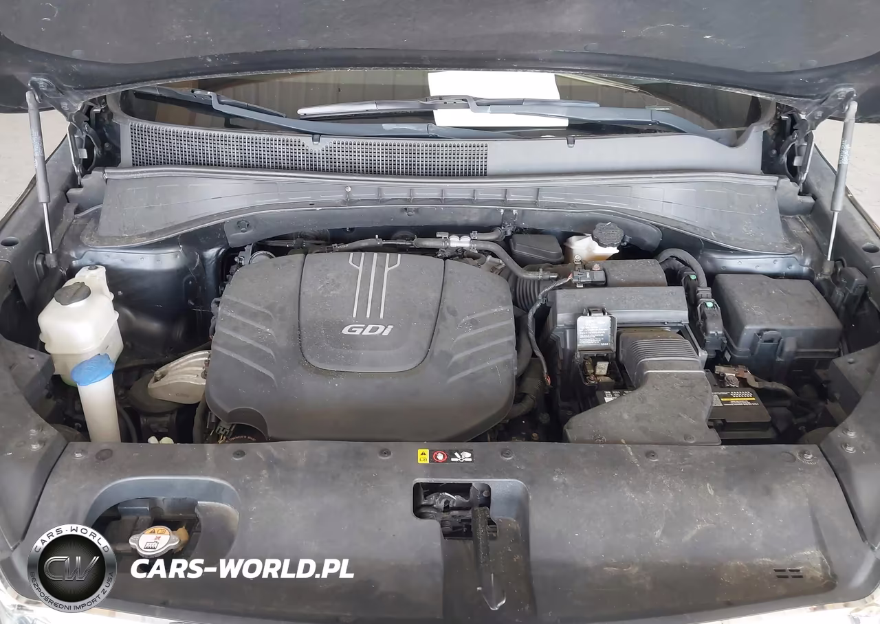 2016 Kia Sorento 3.3L Lx VIN:5XYPGDA51GG061325 - 10