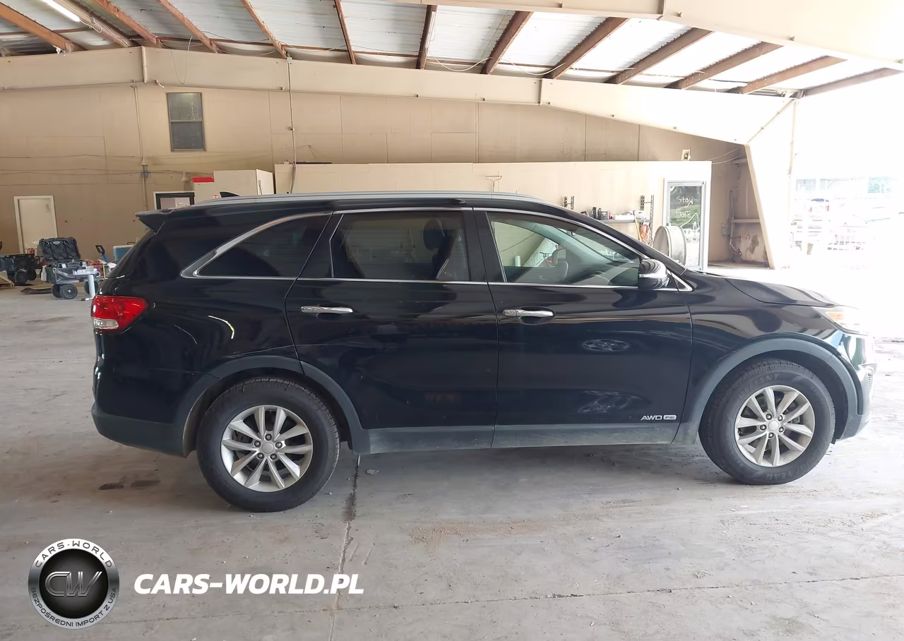 2016 Kia Sorento 3.3L Lx VIN:5XYPGDA51GG061325 - 13
