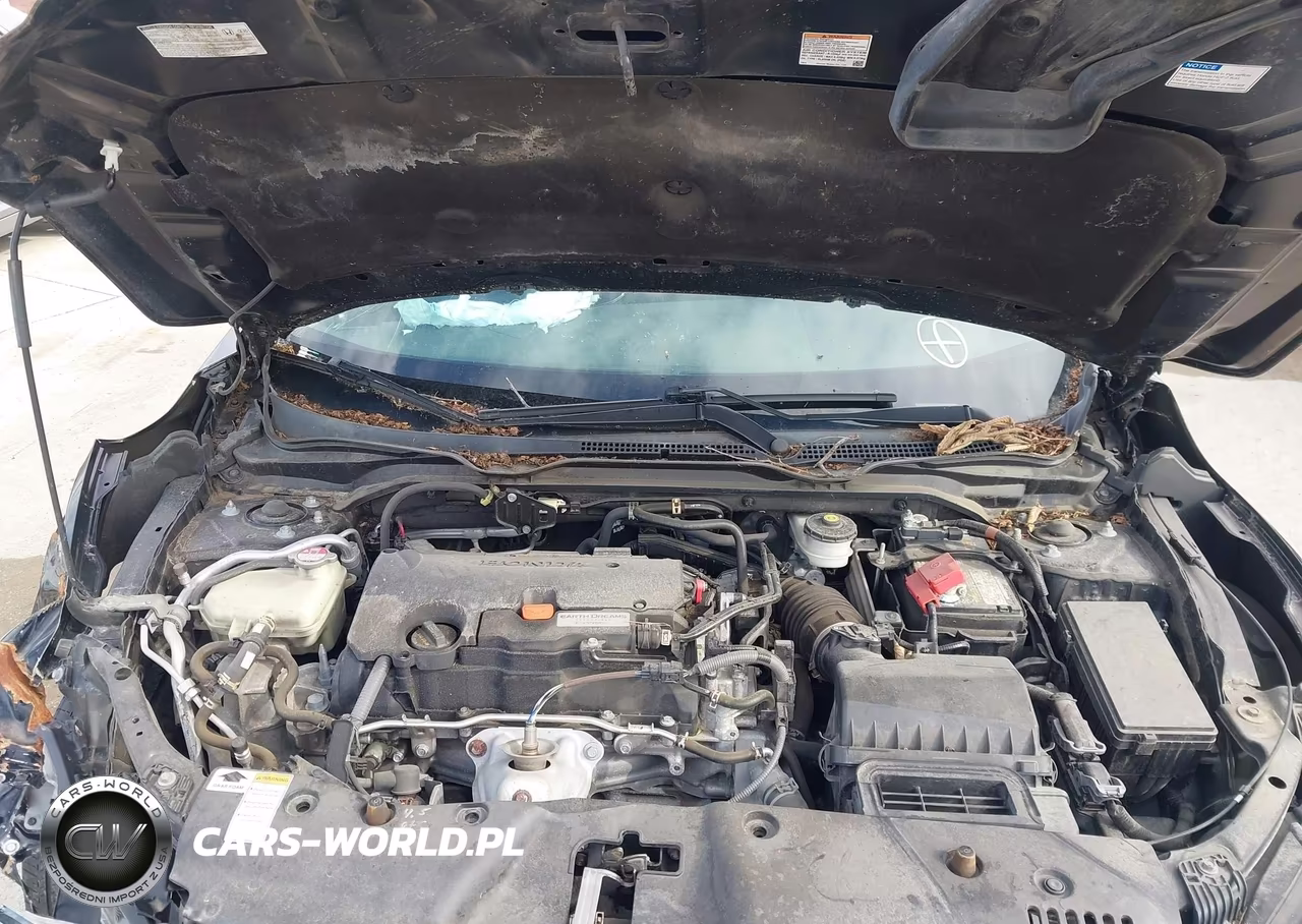 2016 Honda Civic Lx VIN:19XFC2F50GE015843 - 10
