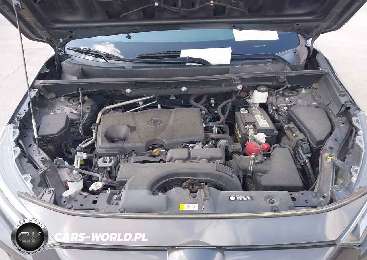 2019 Toyota Rav4 Xle VIN:2T3W1RFV2KW012762 - 10