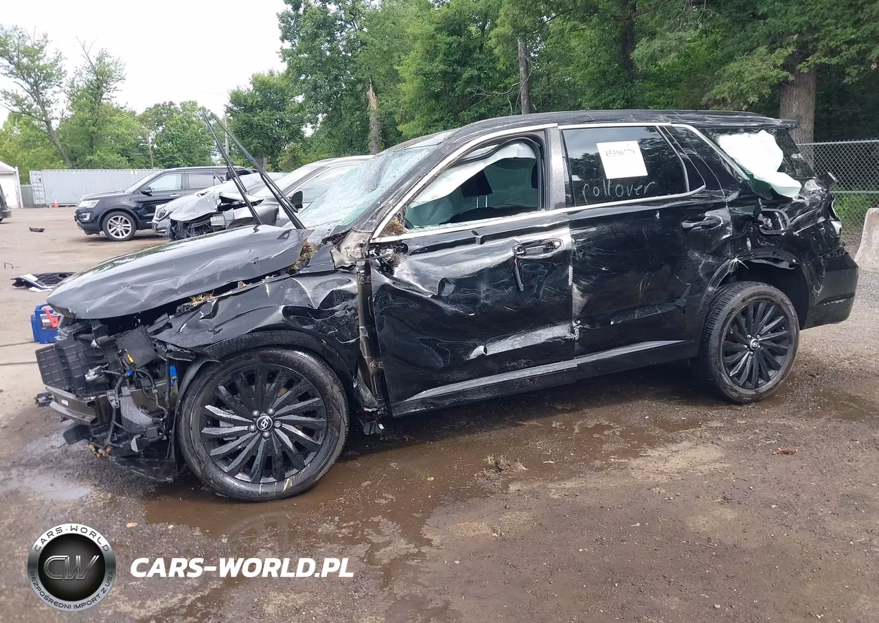 2025 Hyundai Palisade Calligraphy Night Edition VIN:KM8R7DGE0SU888297 - 2