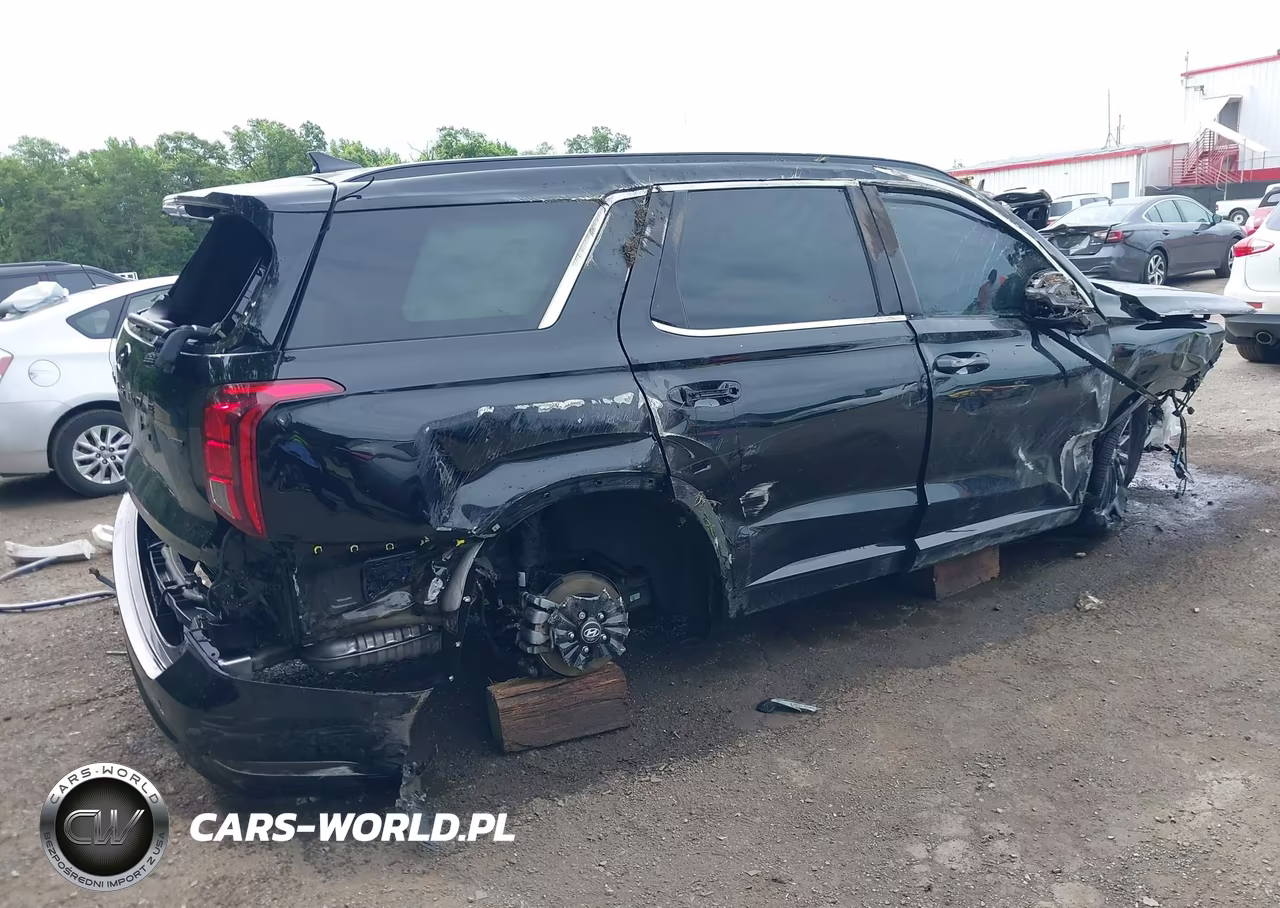 2025 Hyundai Palisade Calligraphy Night Edition VIN:KM8R7DGE0SU888297 - 4