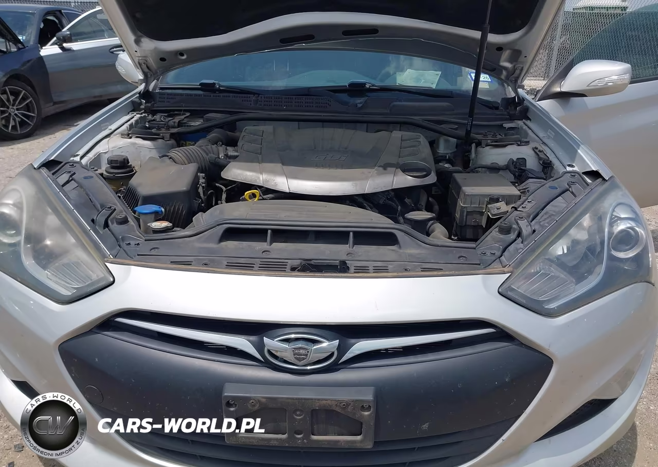 2013 Hyundai Genesis VIN:KMHHU6KJ6DU108455 - 10