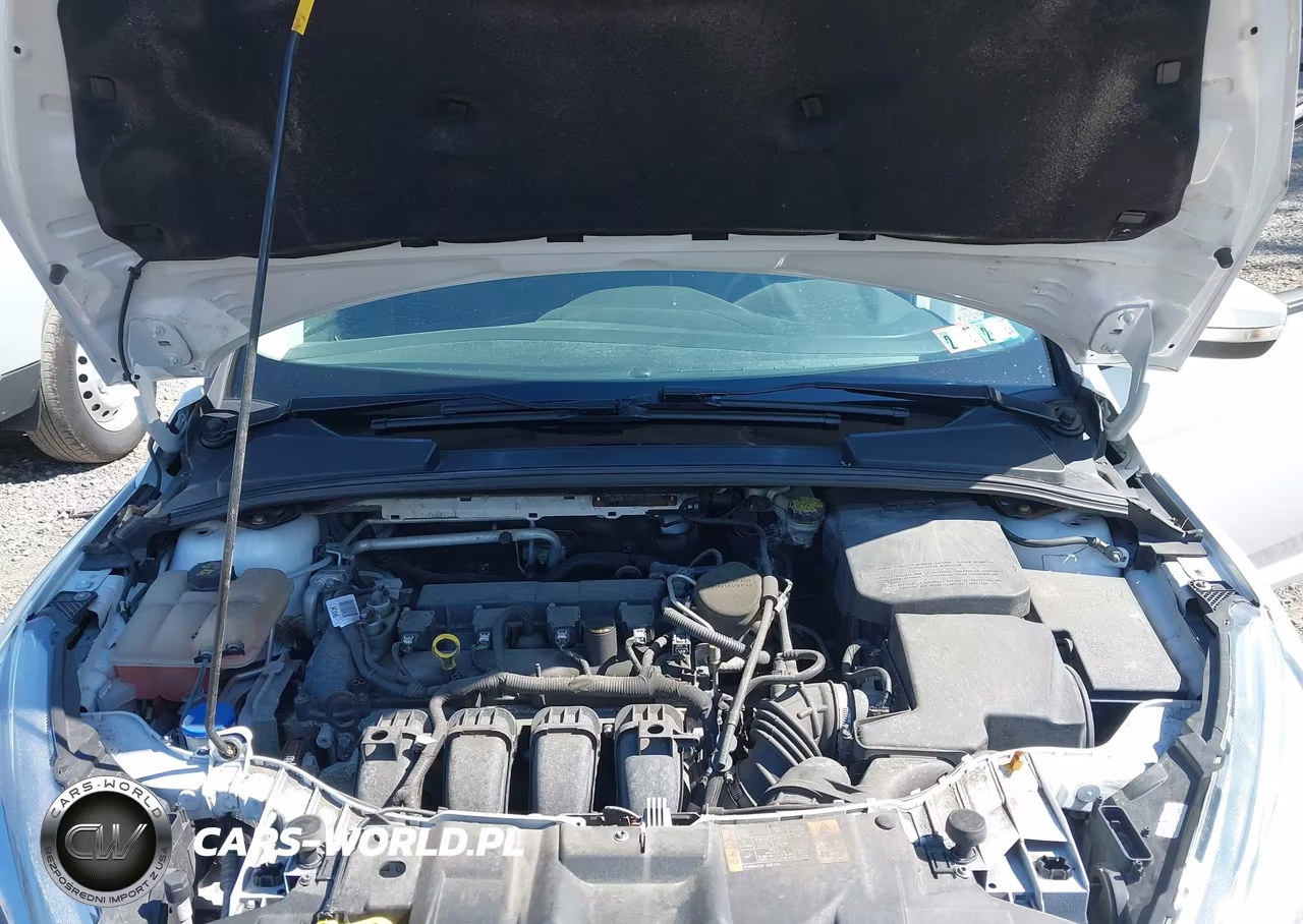 2016 Ford Focus Se VIN:1FADP3K28GL243549 - 10