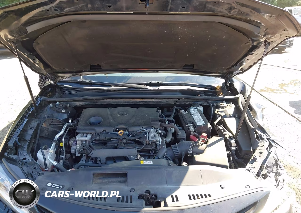 2020 Toyota Camry Se VIN:4T1G11AK3LU364603 - 10