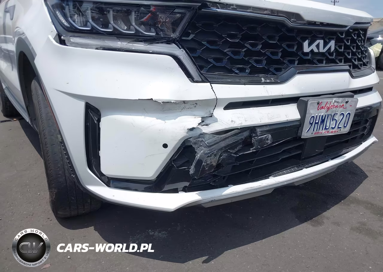 2023 Kia Sorento Hybrid Ex VIN:KNDRH4LG1P5175614 - 12