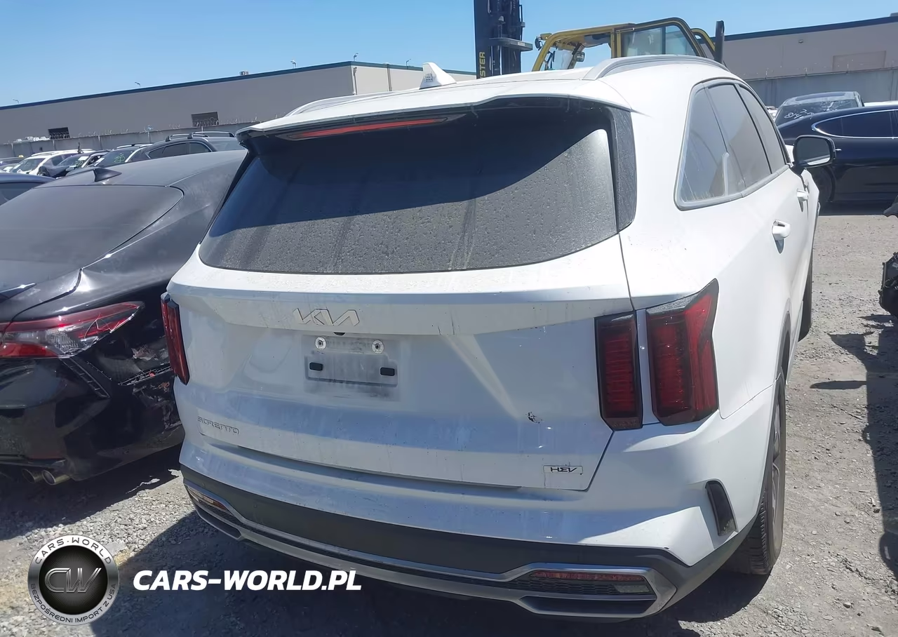 2023 Kia Sorento Hybrid Ex VIN:KNDRH4LG1P5175614 - 17