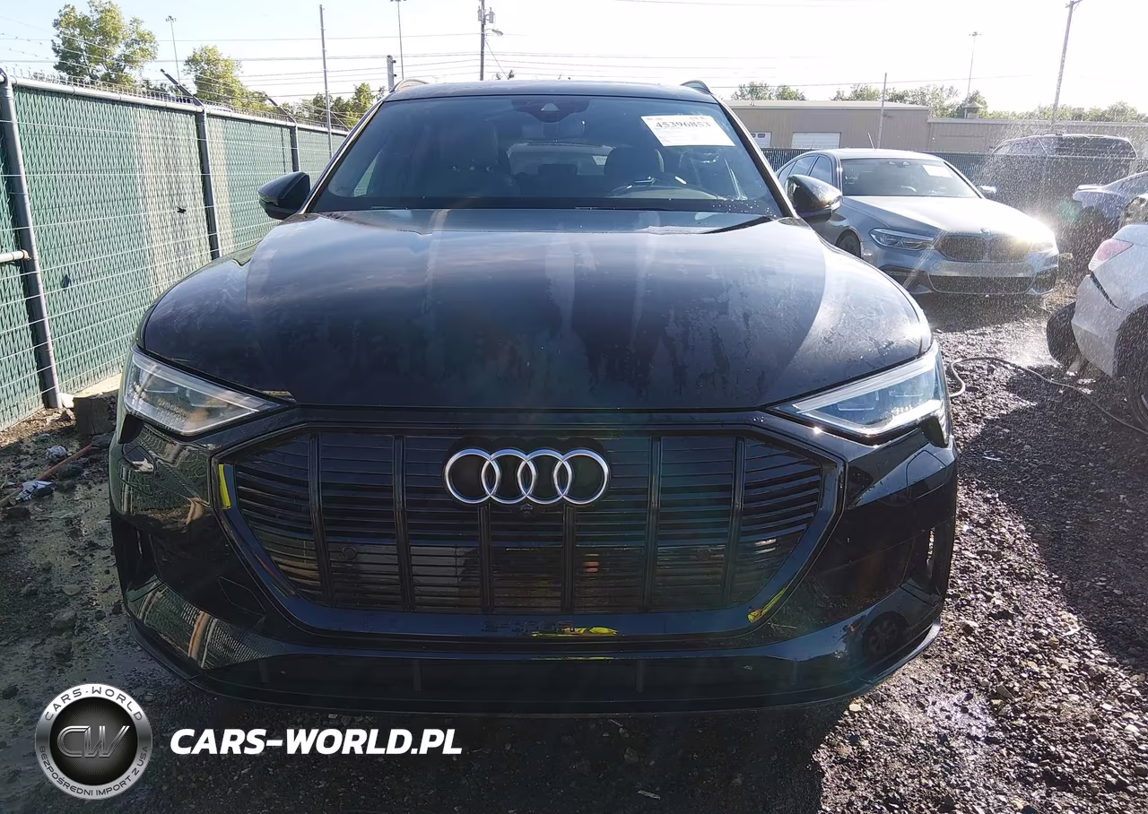 2022 Audi E-Tron Premium Plus Quattro VIN:WA1LAAGE8NB006538 - 12