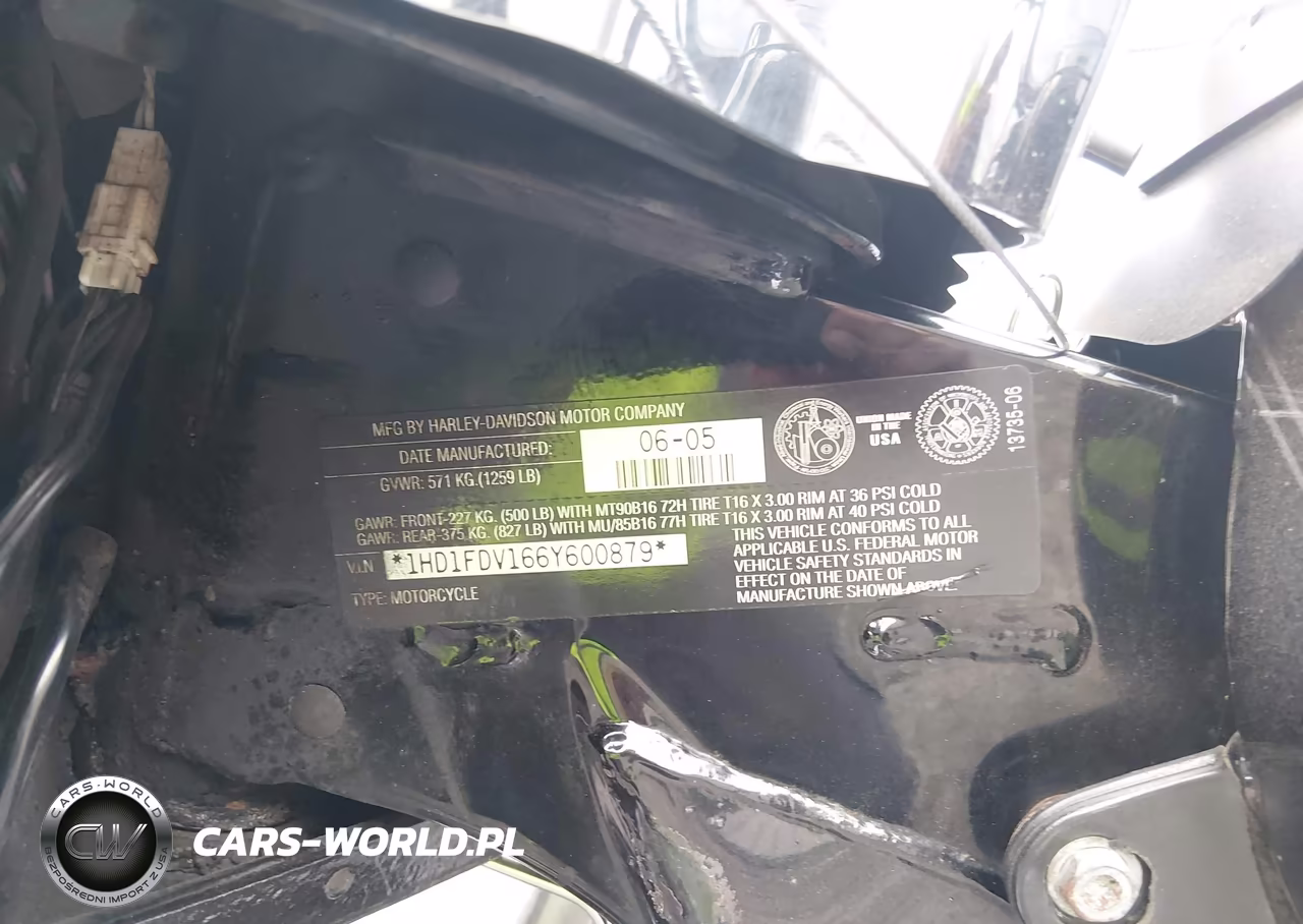 2006 Harley-Davidson Flhr VIN:1HD1FDV166Y600879 - 10
