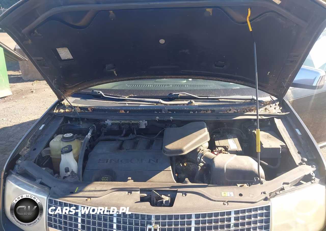 2008 Lincoln Mkx VIN:2LMDU88C98BJ24314 - 10