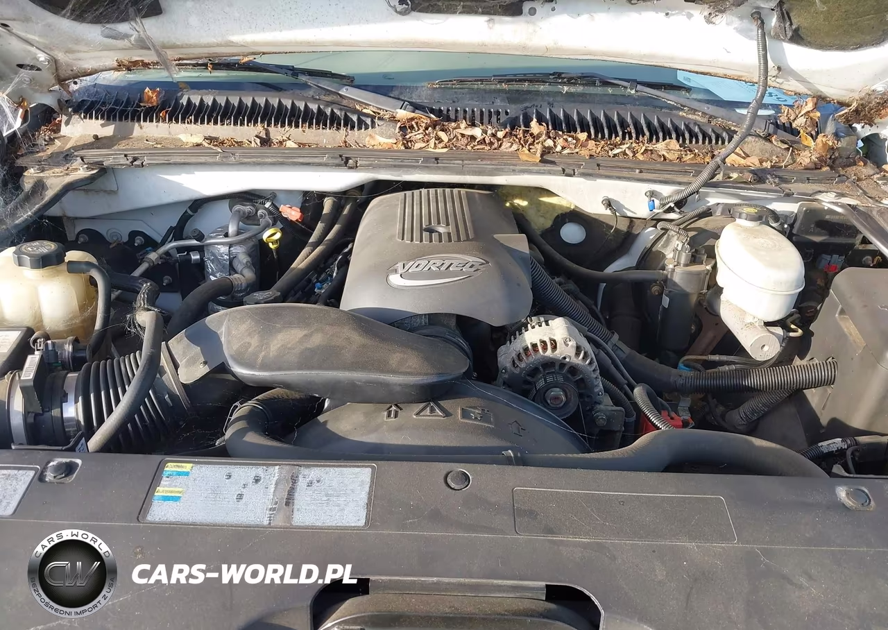 2003 Chevrolet Silverado 1500 Ls VIN:2GCEC19T731253602 - 10
