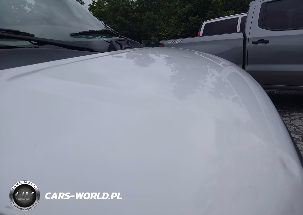 2017 Chevrolet Express 2500 Ls VIN:1GAWGEFF6H1286868 - 12