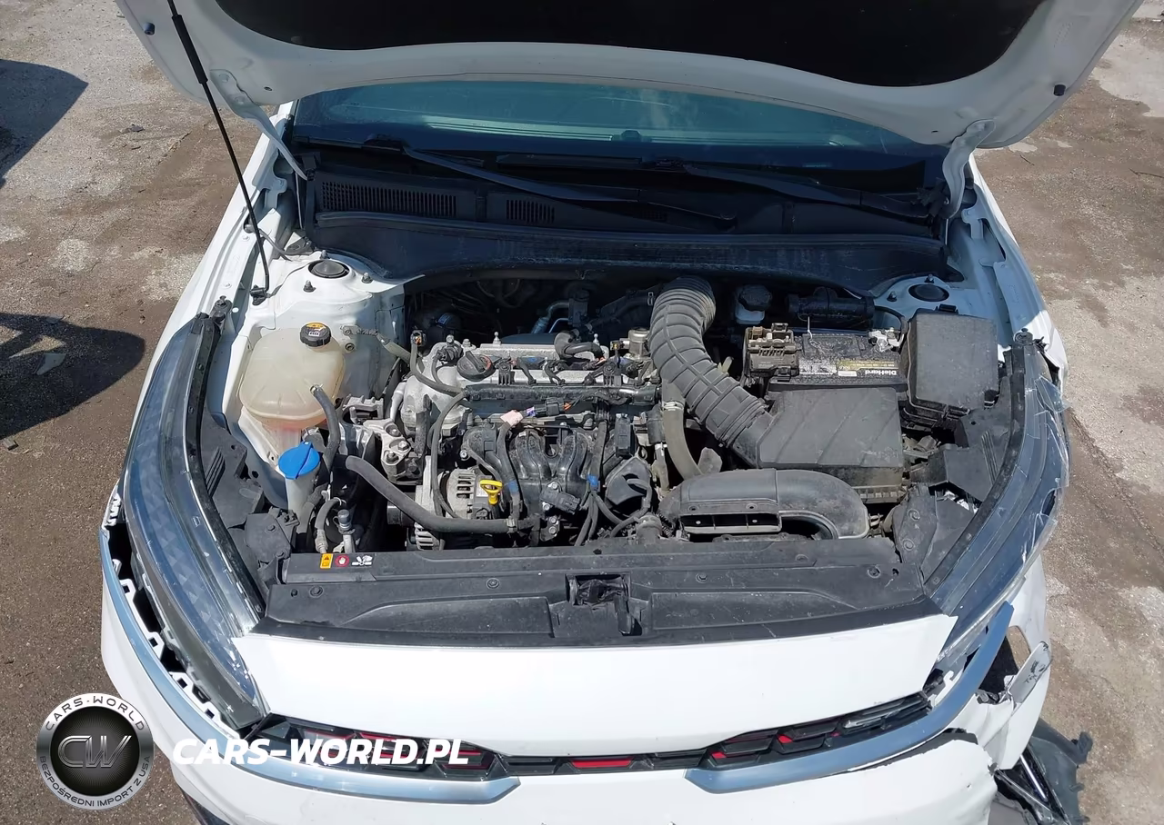 2022 Kia Forte Gt Manual VIN:3KPF44AC7NE424806 - 10