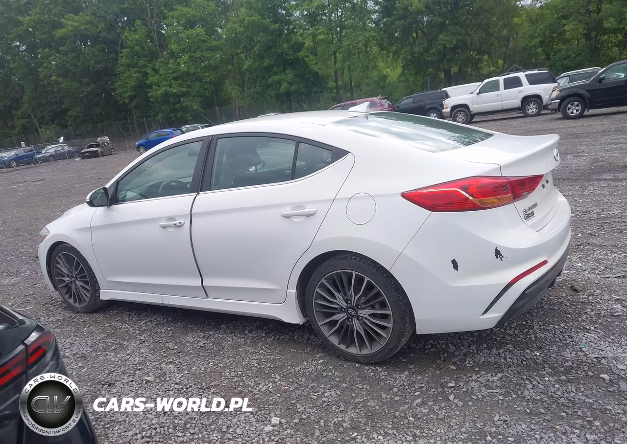 2017 Hyundai Elantra Sport VIN:KMHD04LB5HU355591 - 14