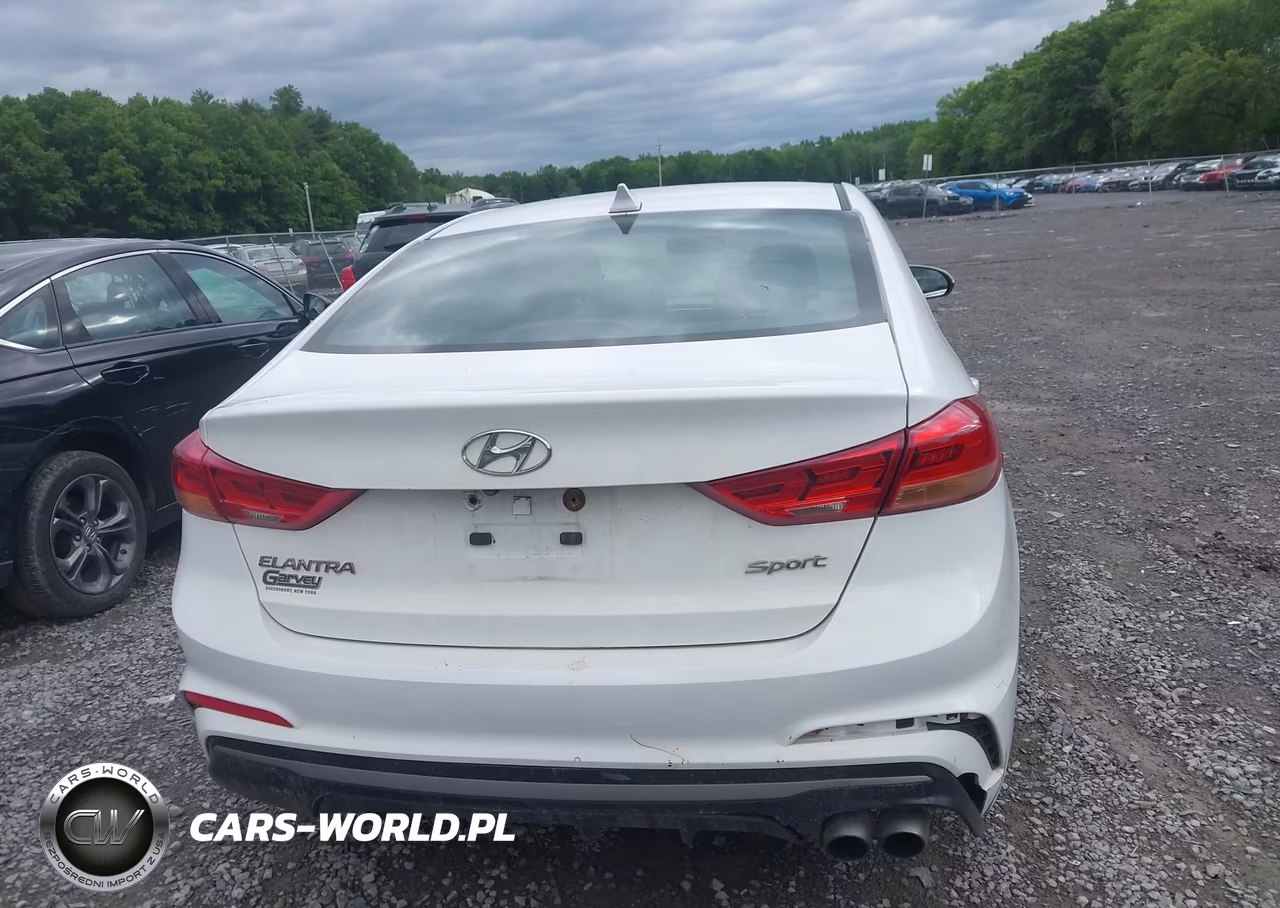 2017 Hyundai Elantra Sport VIN:KMHD04LB5HU355591 - 16