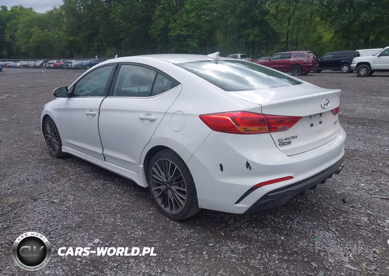 2017 Hyundai Elantra Sport VIN:KMHD04LB5HU355591 - 3