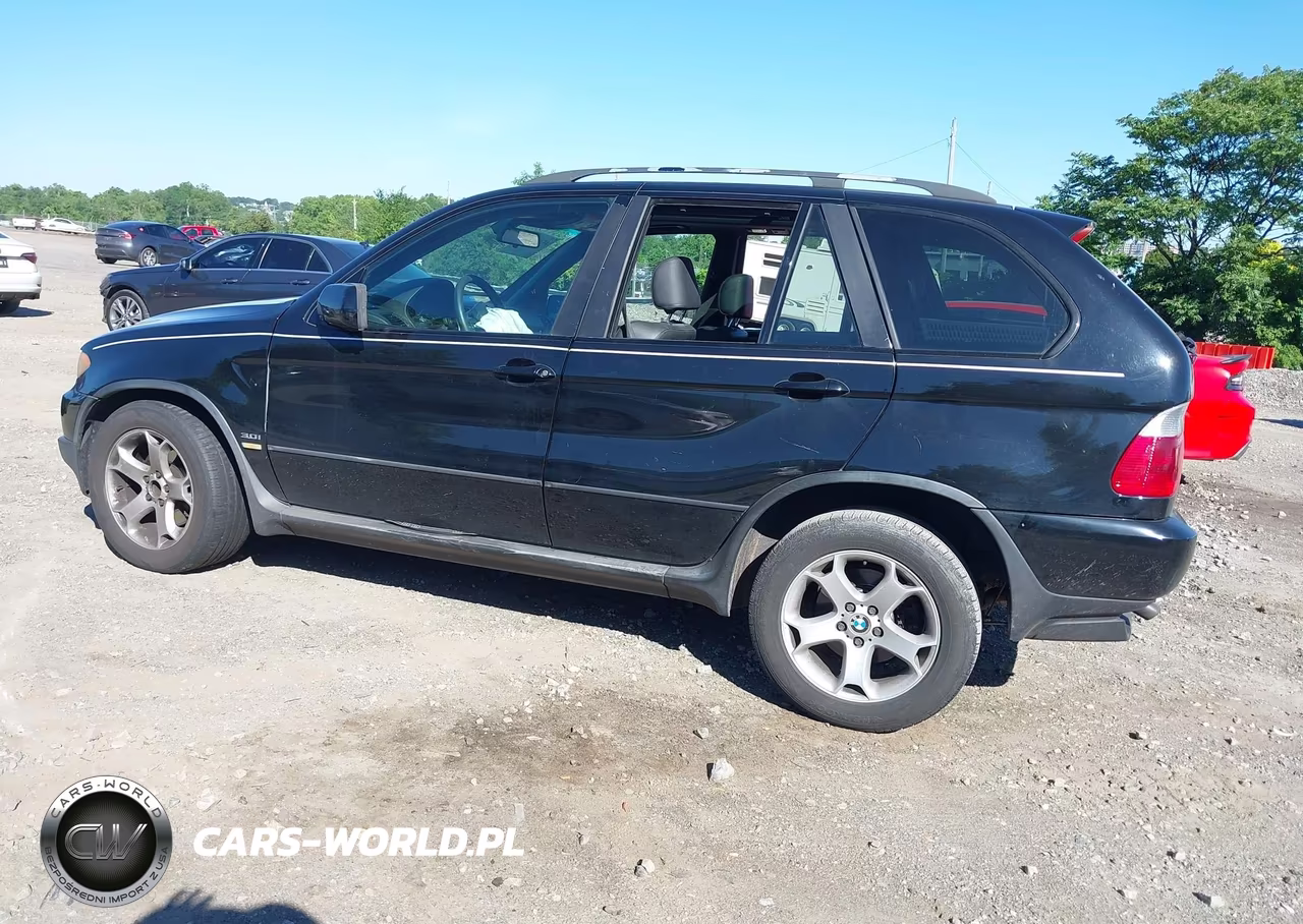 2005 BMW X5 3.0I VIN:5UXFA13595LY13782 - 3