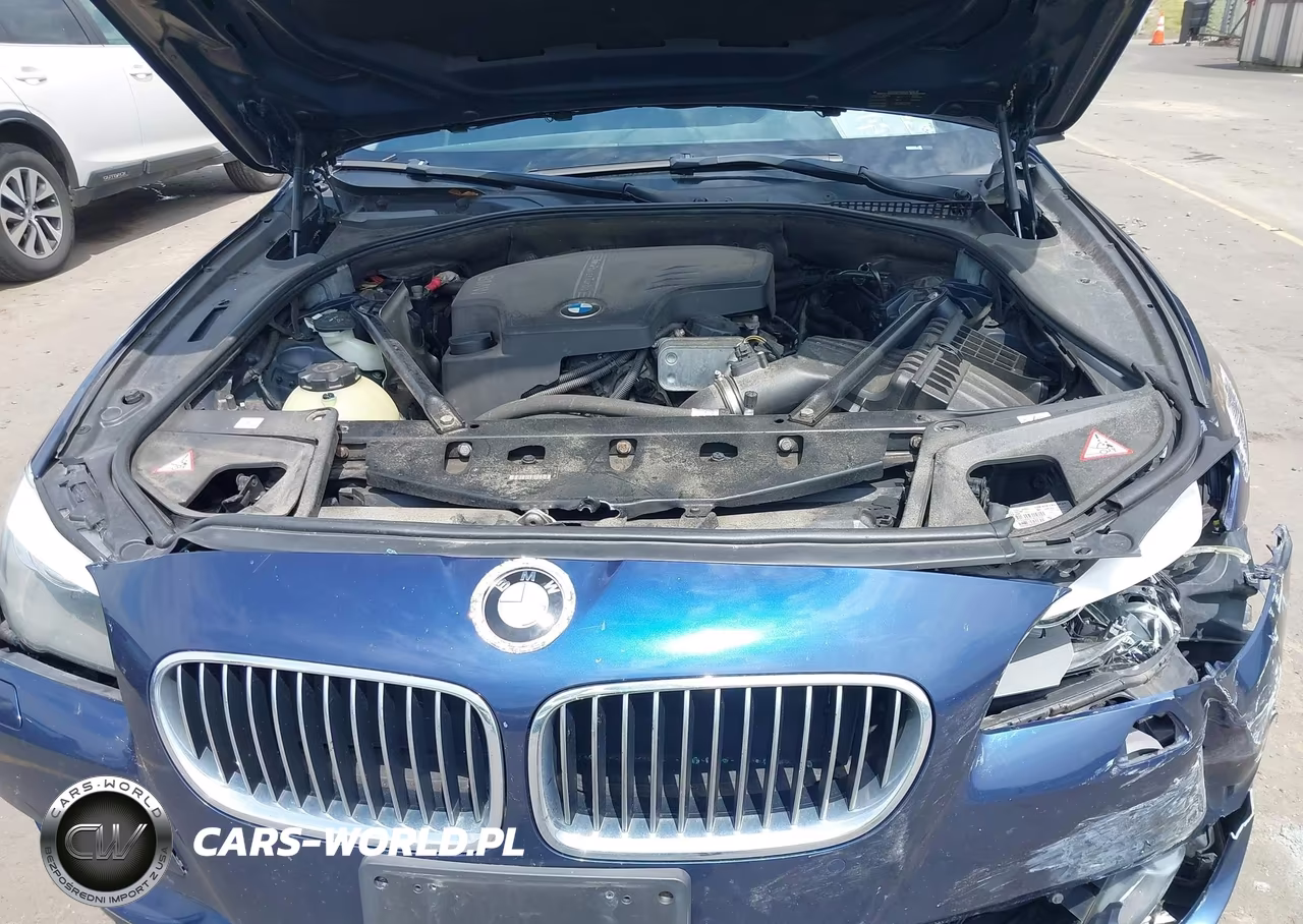 2013 BMW 528I xDrive VIN:WBAXH5C58DD109846 - 10