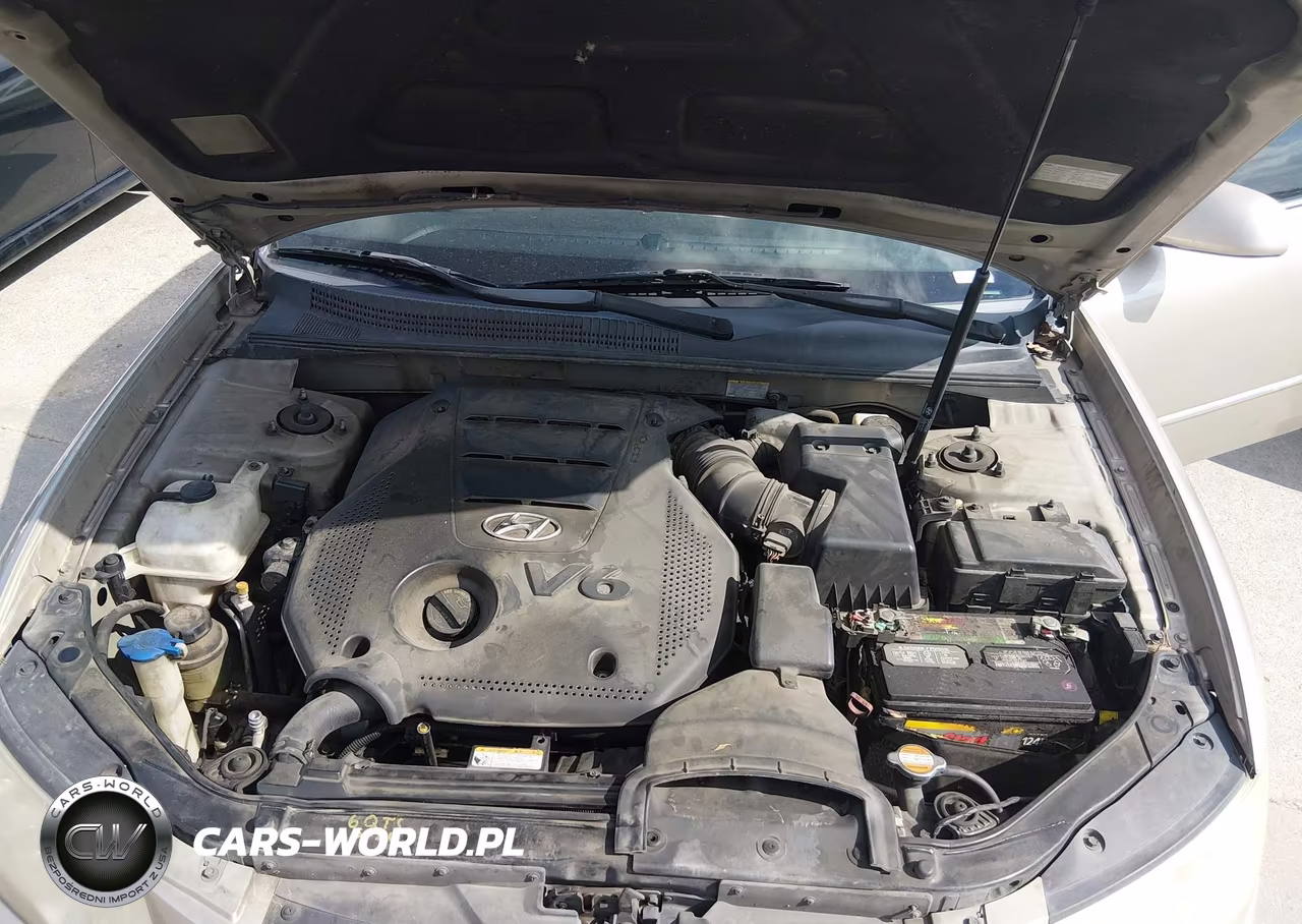 2009 Hyundai Sonata Limited V6 VIN:5NPEU46F99H545661 - 10