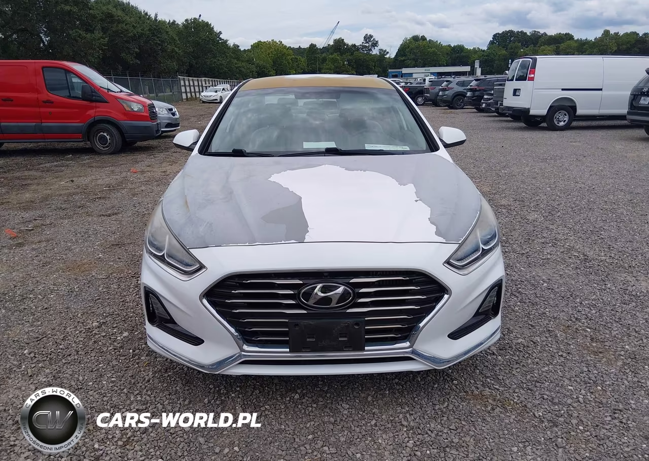 2018 Hyundai Sonata Eco VIN:5NPE24AA2JH688263 - 12
