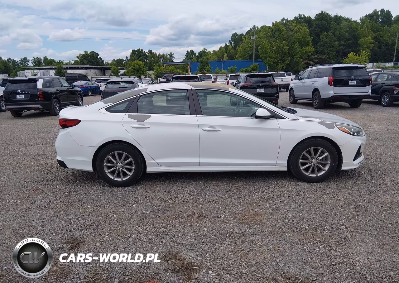 2018 Hyundai Sonata Eco VIN:5NPE24AA2JH688263 - 13