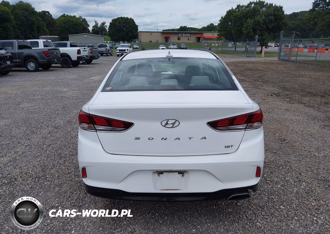 2018 Hyundai Sonata Eco VIN:5NPE24AA2JH688263 - 16