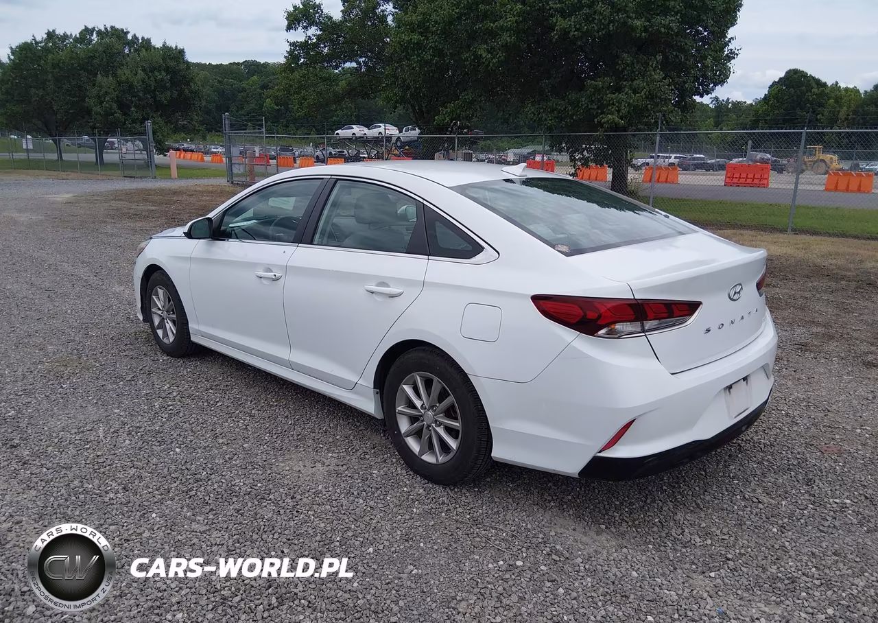 2018 Hyundai Sonata Eco VIN:5NPE24AA2JH688263 - 3