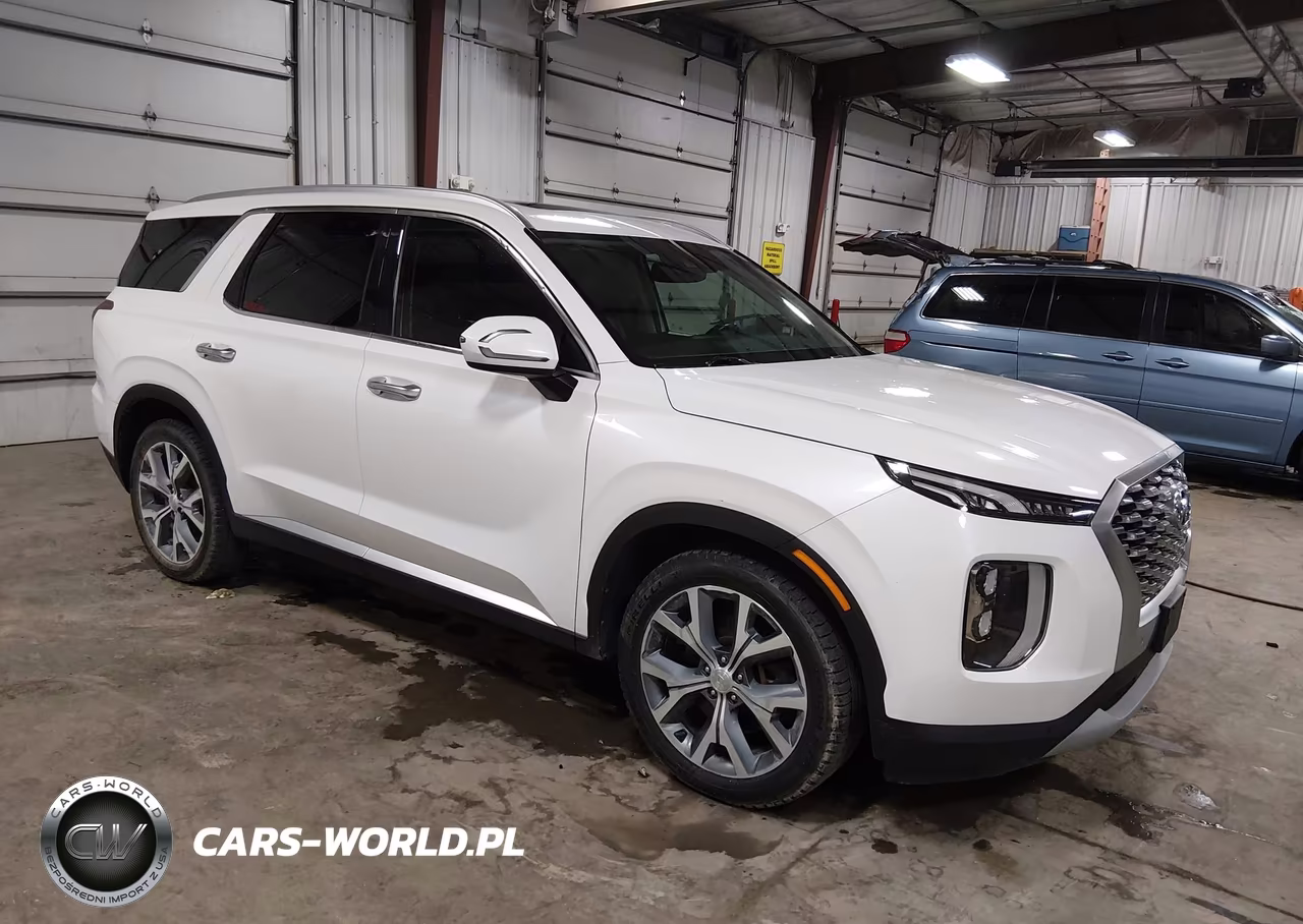 2020 Hyundai Palisade Sel