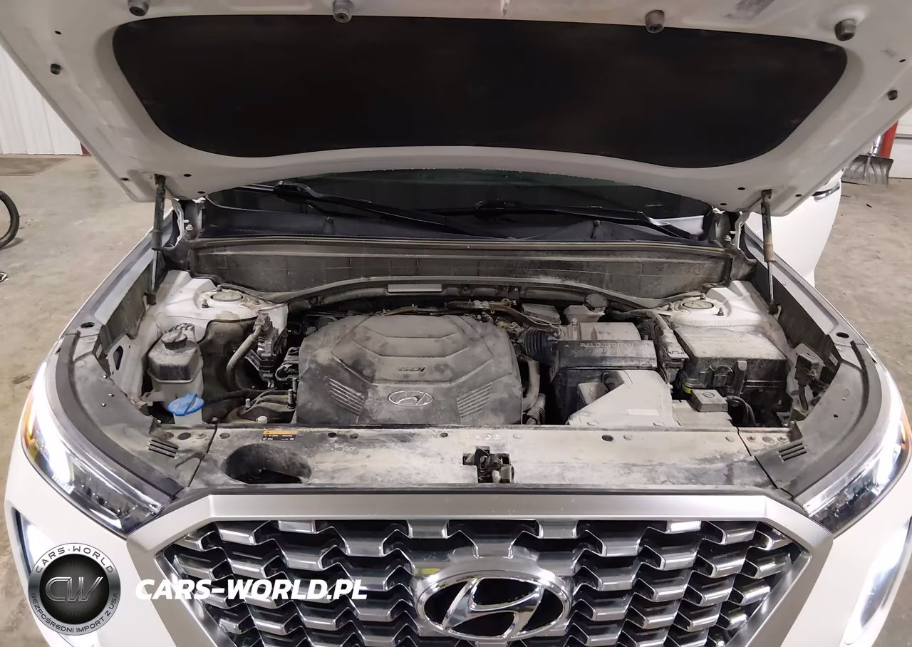 2020 Hyundai Palisade Sel VIN:KM8R4DHE9LU163953 - 10
