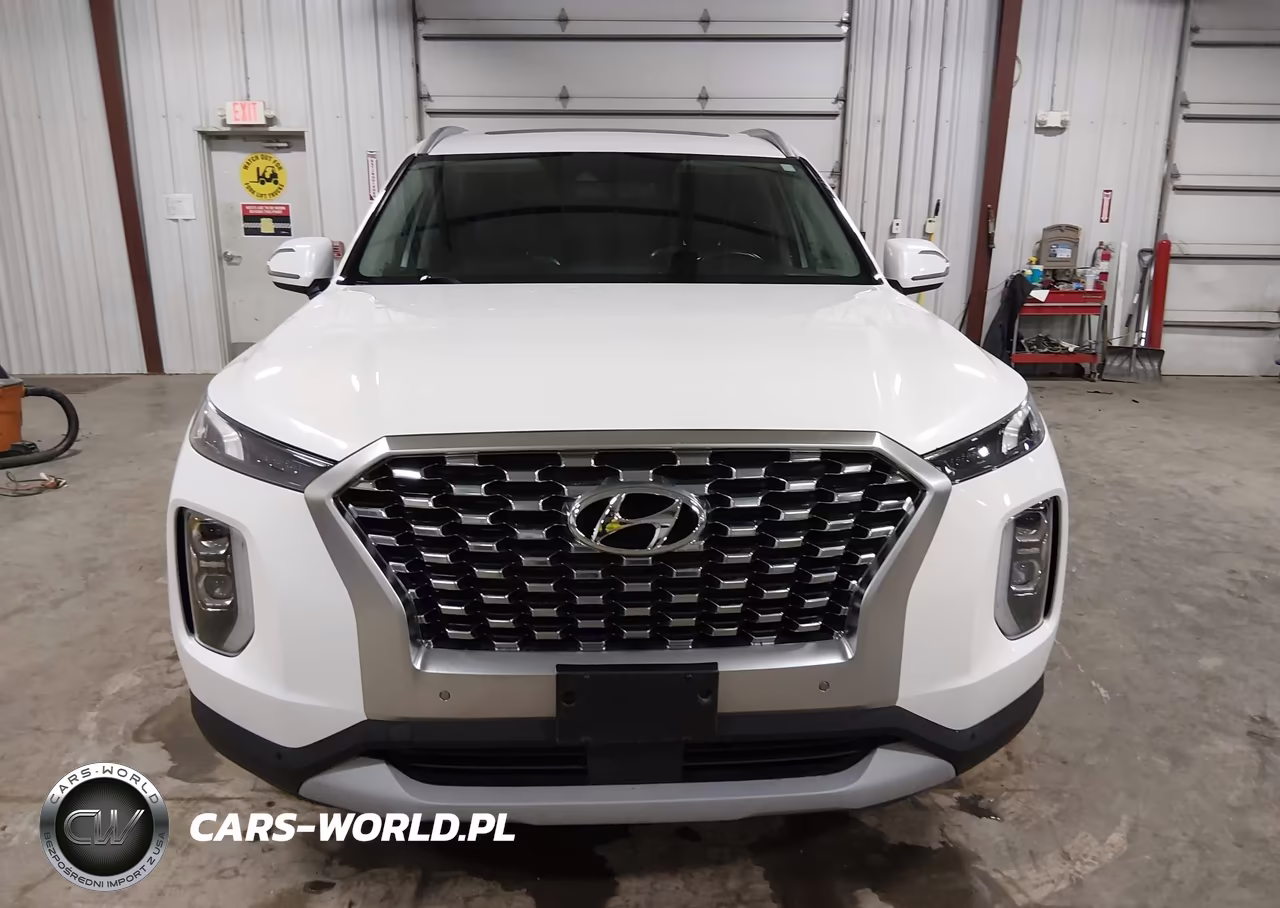 2020 Hyundai Palisade Sel VIN:KM8R4DHE9LU163953 - 12