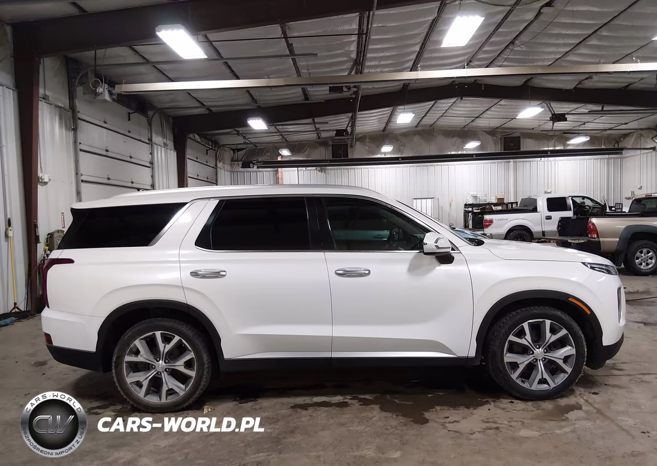 2020 Hyundai Palisade Sel VIN:KM8R4DHE9LU163953 - 13
