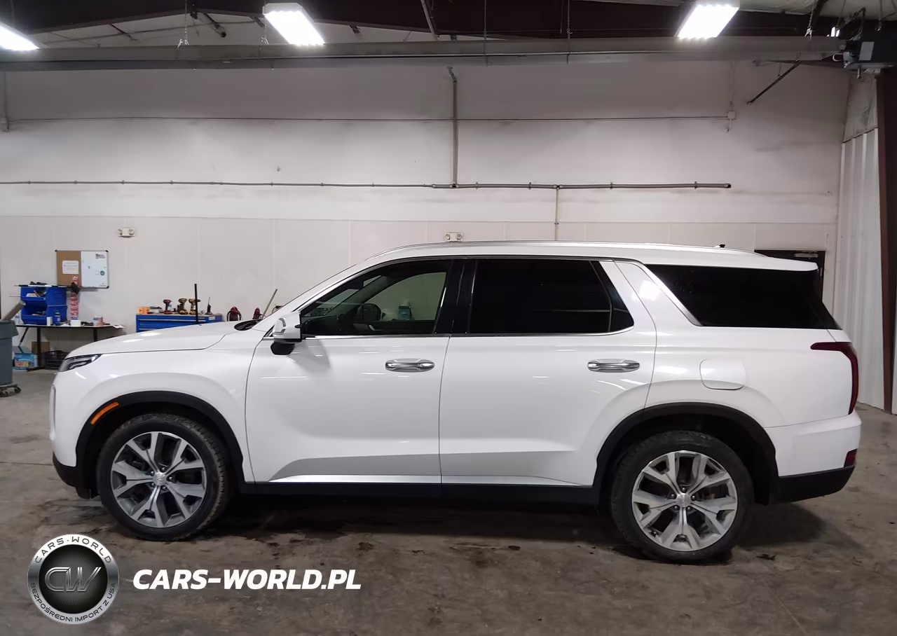2020 Hyundai Palisade Sel VIN:KM8R4DHE9LU163953 - 14