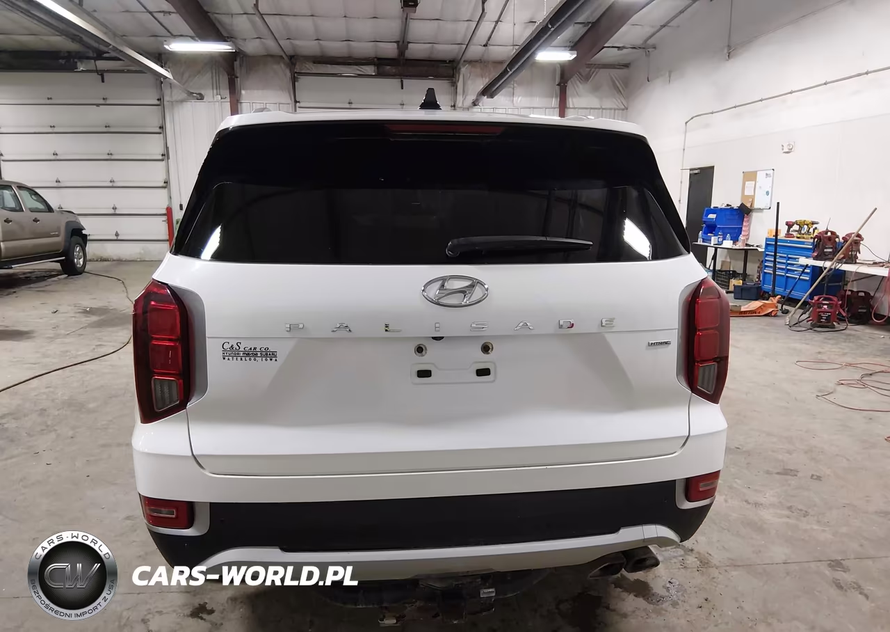 2020 Hyundai Palisade Sel VIN:KM8R4DHE9LU163953 - 16