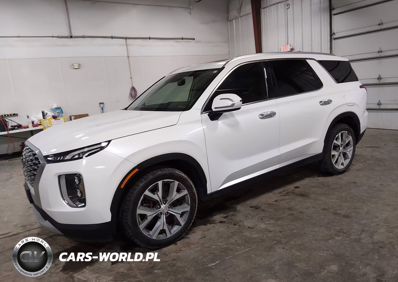 2020 Hyundai Palisade Sel VIN:KM8R4DHE9LU163953 - 2